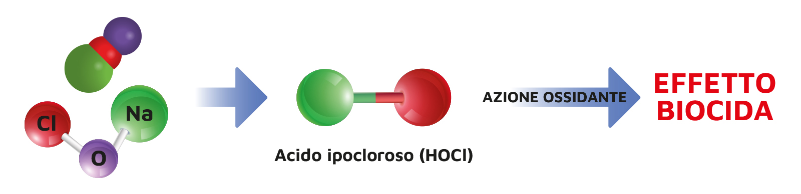AzioneBiocida